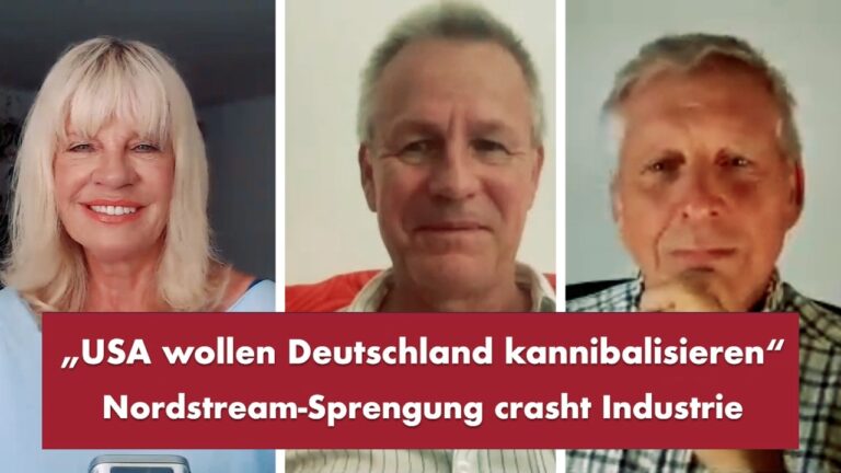 Mehr über den Artikel erfahren „USA wollen Deutschland kannibalisieren“ – Punkt.PRERADOVIC mit Moritz Enders u . Erik Andersson