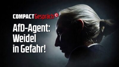 Mehr über den Artikel erfahren AfD-Agent: Weidel in Gefahr!