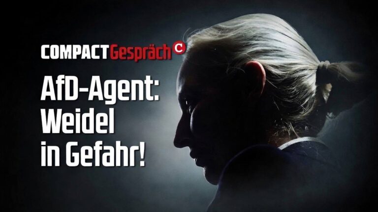 Mehr über den Artikel erfahren AfD-Agent: Weidel in Gefahr!