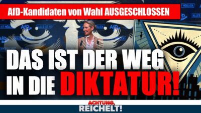 Mehr über den Artikel erfahren AfD-Kandidaten werden von Stimmzetteln getilgt! „Das ist der sichere Weg in die Diktatur!“