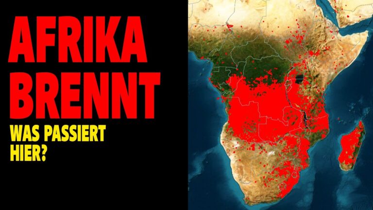 Mehr über den Artikel erfahren Afrika brennt – Was passiert hier?