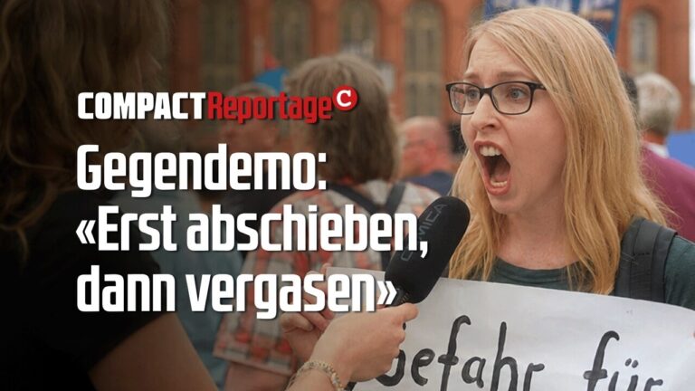 Mehr über den Artikel erfahren Demo gegen AfD: «Erst abschieben, dann vergasen»