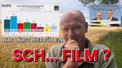 Mehr über den Artikel erfahren DIE AfD STÜRZT AB ABER WIE KANN DAS SEIN? HABEN WIR ALLE EINEN FIEBERTRAUM?