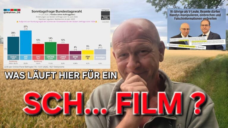 Mehr über den Artikel erfahren DIE AfD STÜRZT AB ABER WIE KANN DAS SEIN? HABEN WIR ALLE EINEN FIEBERTRAUM?