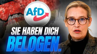 Mehr über den Artikel erfahren Die Wahrheit über die AfD: Sie haben dich belogen.