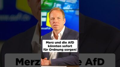 Mehr über den Artikel erfahren ⚠️Merz und die AfD könnten sofort für Ordnung sorgen!