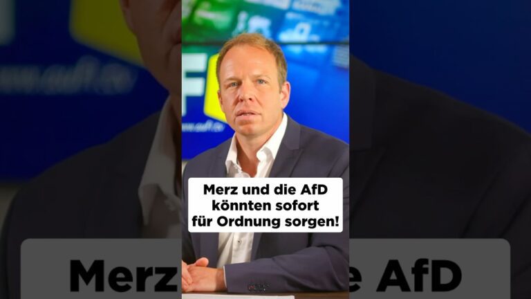 Mehr über den Artikel erfahren ⚠️Merz und die AfD könnten sofort für Ordnung sorgen!