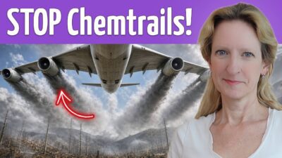 Mehr über den Artikel erfahren Es wird intensiv: Doch wir können alles verändern (Mel Rentmeister)