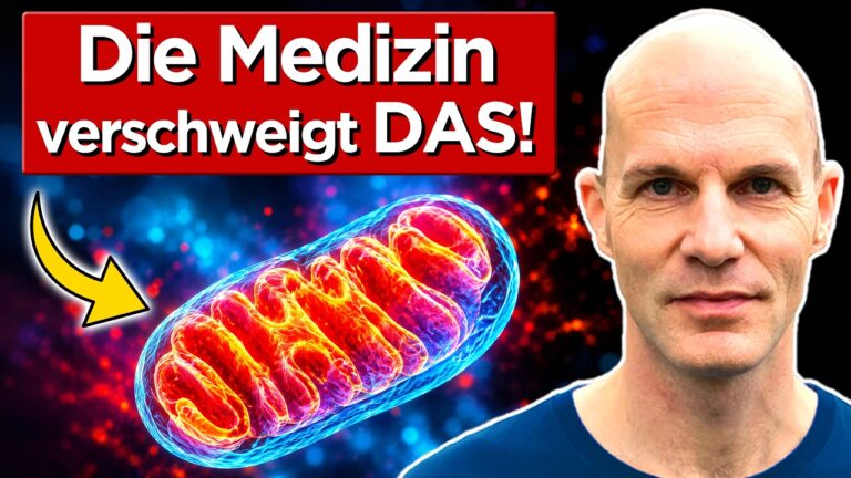 Mehr über den Artikel erfahren Experte deckt auf: Dein Körper heilt sich von selbst