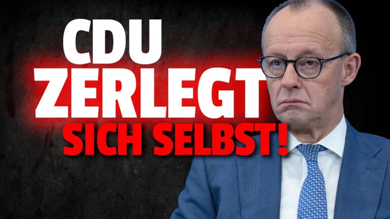 Mehr über den Artikel erfahren 💥DAMIT zerstört die CDU sich selbst und ICH FREUE MICH!