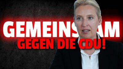Mehr über den Artikel erfahren 💥Grüne und AfD GEMEINSAM gegen CDU aus DIESEM Grund!!
