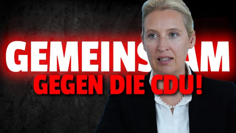 Mehr über den Artikel erfahren 💥Grüne und AfD GEMEINSAM gegen CDU aus DIESEM Grund!!