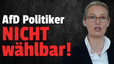 Mehr über den Artikel erfahren 💥JETZT sollen AfD Politiker nicht mehr auf Wahlzettel stehen!!