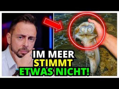 Mehr über den Artikel erfahren Etwas BIZARRES trieb im Wasser… 😳 Es war… AM LEBEN! 💥