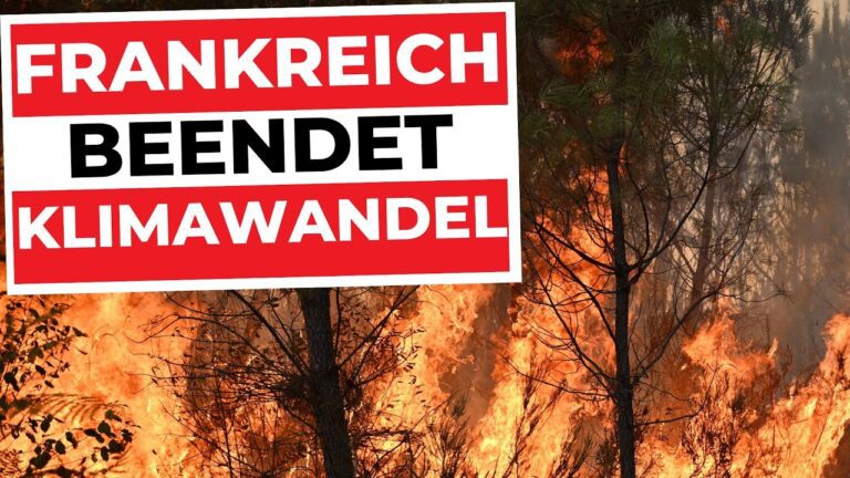 Mehr über den Artikel erfahren KLIMAWANDEL VERHAFTET: 184 Festnahmen & 11 Anklagen! | Waldbrand Frankreich