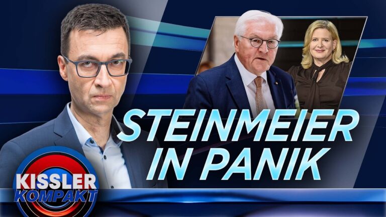 Mehr über den Artikel erfahren Mit harten Bandagen: Der Bundespräsident kämpft gegen die AfD | KISSLER Kompakt