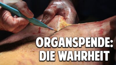 Mehr über den Artikel erfahren Organspende: Die verheimlichte Wahrheit