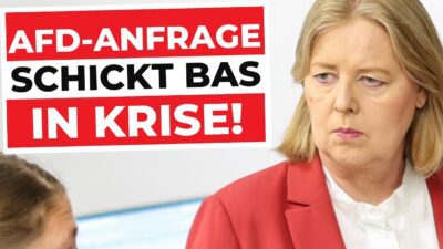 Mehr über den Artikel erfahren VERTUSCHUNG GESCHEITERT: Pass verschenkt, Du zahlst! | Sozialstaat vor dem Kollaps