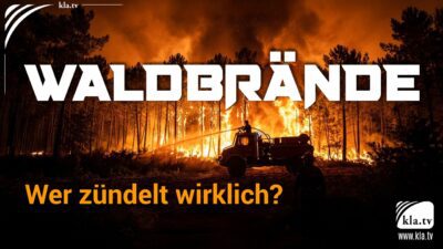 Mehr über den Artikel erfahren Waldbrände – Wer zündelt wirklich?