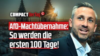 Mehr über den Artikel erfahren AfD-Machtübernahme: So werden die ersten 100 Tage!💥