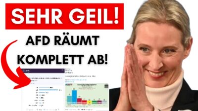 Mehr über den Artikel erfahren AfD mit neuen Rekord-Werten + Sturz von Bärbel Bas & Merz wird vorbereitet
