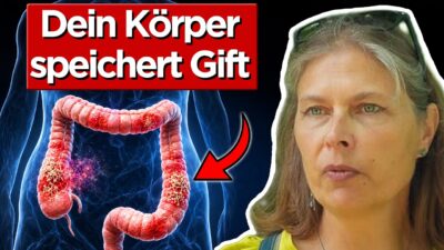 Mehr über den Artikel erfahren Darm-Pilze: Was beim falschen Abtöten passiert