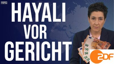 Mehr über den Artikel erfahren Endlich💥SUPER-GAU für Hayali und das ZDF💥ARD will gegen AfD klagen💥Neue Anti-AfD Kampagne gestartet