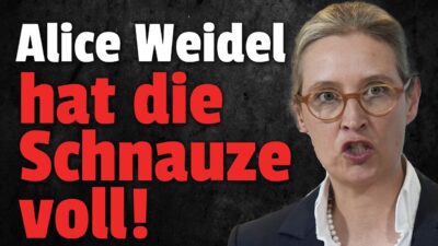 Mehr über den Artikel erfahren 💥Alice Weidel PLATZT der Kragen im Sommerinterview!