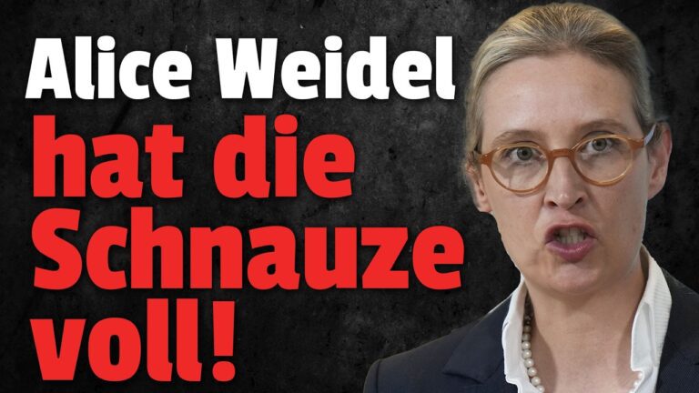 Mehr über den Artikel erfahren 💥Alice Weidel PLATZT der Kragen im Sommerinterview!