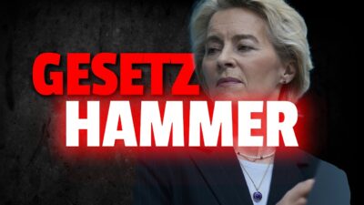 Mehr über den Artikel erfahren 💥ExportStopp: Wegen EU Gesetz BEENDEN Händler Warenversandt!!