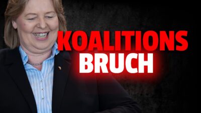 Mehr über den Artikel erfahren 💥Koalitionsbruch! Bärbel Bas will festgelegte Reform VERHINDERN!!