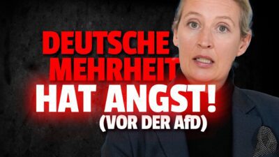 Mehr über den Artikel erfahren 💥Mehrheit der Deutschen hat ANGST vor der AfD, du auch?!