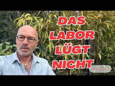 Mehr über den Artikel erfahren Laborbild als ‚unauffällig‘ eingestuft – ich fand 5 Warnzeichen !!