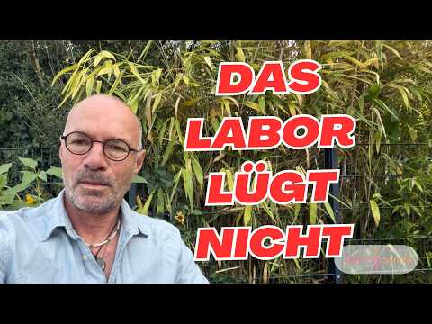 Mehr über den Artikel erfahren Laborbild als ‚unauffällig‘ eingestuft – ich fand 5 Warnzeichen !!
