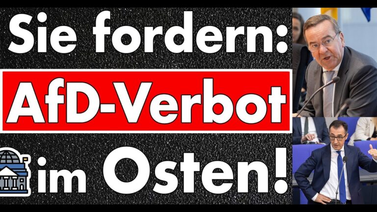 Mehr über den Artikel erfahren Minister & Ministerpräsident fordern AfD-Parteiverbot wegen der NSDAP – diese wurde aber verboten!