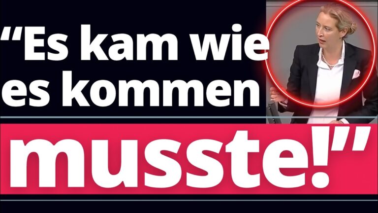 Mehr über den Artikel erfahren Schulden-Eskalation: Alice Weidels düstere Prognose tritt ein!