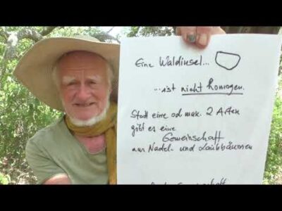 Mehr über den Artikel erfahren Über Menschen und Brände, Bäume und Tiere im Sommer 2026