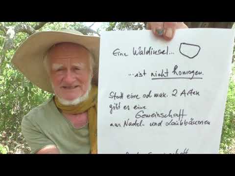 Mehr über den Artikel erfahren Über Menschen und Brände, Bäume und Tiere im Sommer 2026