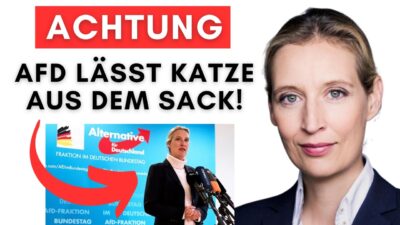 Mehr über den Artikel erfahren AfD-Geheimpapier aufgetaucht: Jetzt plant die AfD, wie sie Deutschland mitregieren kann!