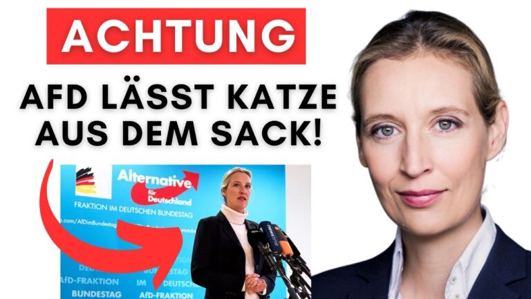 Mehr über den Artikel erfahren AfD-Geheimpapier aufgetaucht: Jetzt plant die AfD, wie sie Deutschland mitregieren kann!