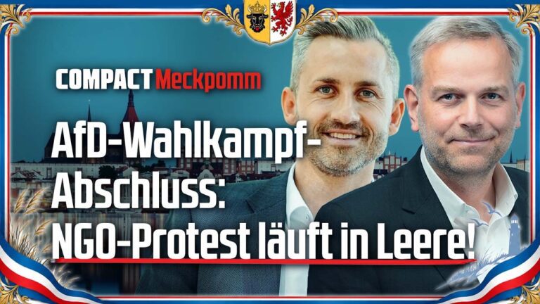 Mehr über den Artikel erfahren AfD-Wahlkampfabschluss: NGO-Protest läuft ins Leere!