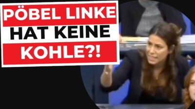 Mehr über den Artikel erfahren ASSI? 2000€ Strafe als Spenden-Maschine genutzt? | Bundestags-Eklat, Cansin Köktürk & René Springer