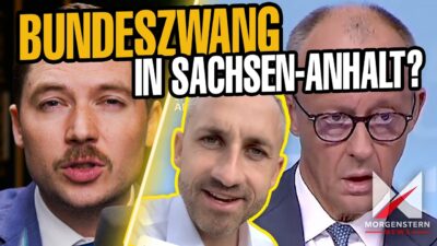 Mehr über den Artikel erfahren Bundeszwang in Sachsen-Anhalt – Regiert hier bald Merz?