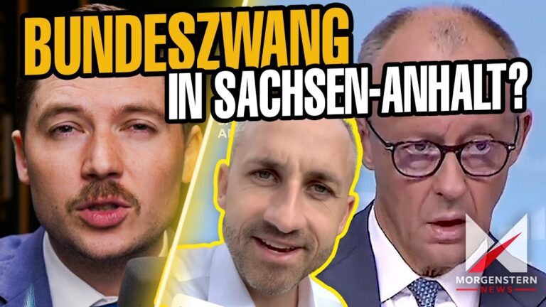 Mehr über den Artikel erfahren Bundeszwang in Sachsen-Anhalt – Regiert hier bald Merz?