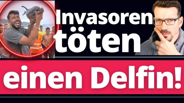 Mehr über den Artikel erfahren CEUTA: Invasoren töten Delfin! Moderatorin RECHTFERTIGT es auch noch!