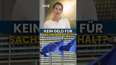 Mehr über den Artikel erfahren Der Grünen-Europaabgeordnete Daniel Freund bringt finanzielle Konsequenzen…