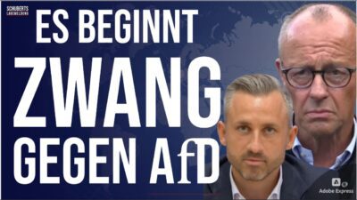 Mehr über den Artikel erfahren Eilt💥Lebensgefahr für jeden Bürger💥Verfassungsänderung💥Absolut demaskierend💥Eskalation gegen AfD