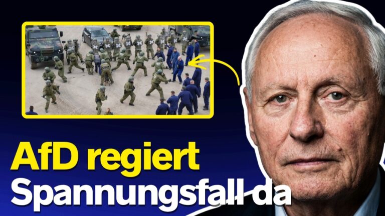 Mehr über den Artikel erfahren „Ein Irrenhaus“: Spannungsfall kommt UND AfD regiert 🚨