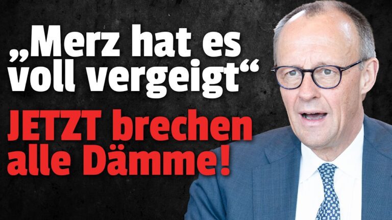 Mehr über den Artikel erfahren 💥JETZT ist Merz zum Abschuss freigegeben!
