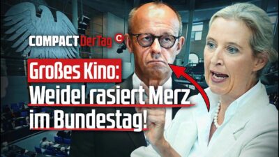Mehr über den Artikel erfahren Großes Kino: Weidel rasiert Merz im Bundestag!💥
